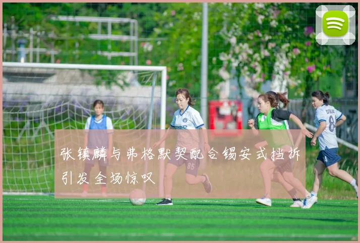 张镇麟与弗格默契配合锡安式挡拆引发全场惊叹