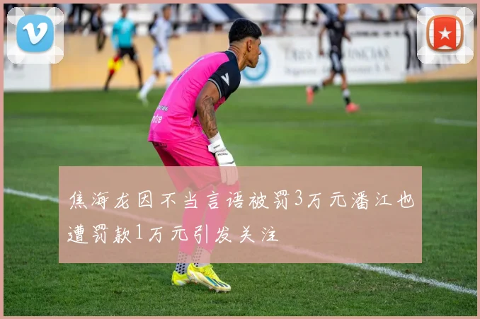 焦海龙因不当言语被罚3万元潘江也遭罚款1万元引发关注